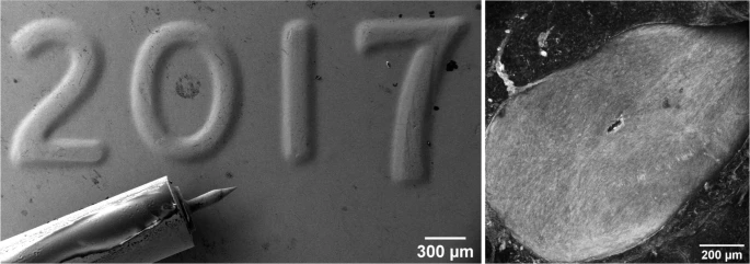 Microneedle